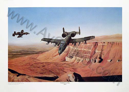  "Warthogging"  A-10 78-0606 from the354th TFW / 353rd TFS Myrtle Beach AFB.