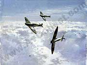 Spitfires in the Sunshine by Michael Turner