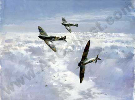 Spitfires in the Sunshine by Michael Turner